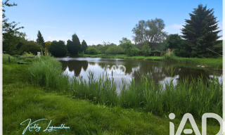Photo N° 2