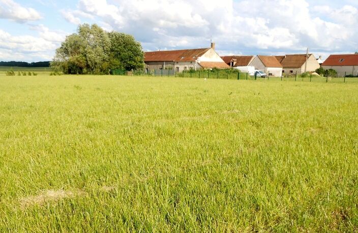 Terrain à vendre de 1 148,00 m² LA SELLE SUR LE BIED (45) — photo 3