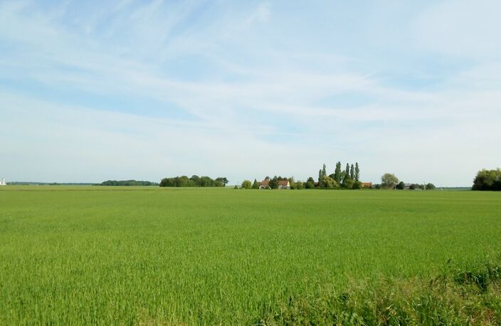 Terrain à vendre de 1 148,00 m² LA SELLE SUR LE BIED (45) — photo 4