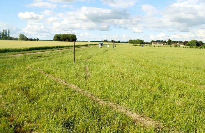 Terrain à vendre de 1 148,00 m² LA SELLE SUR LE BIED (45) — photo 5