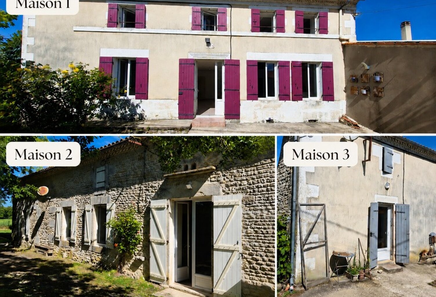 Ensemble immobilier avec 3 maisons sur 5 110 m² – Moragne 17430 — photo 1