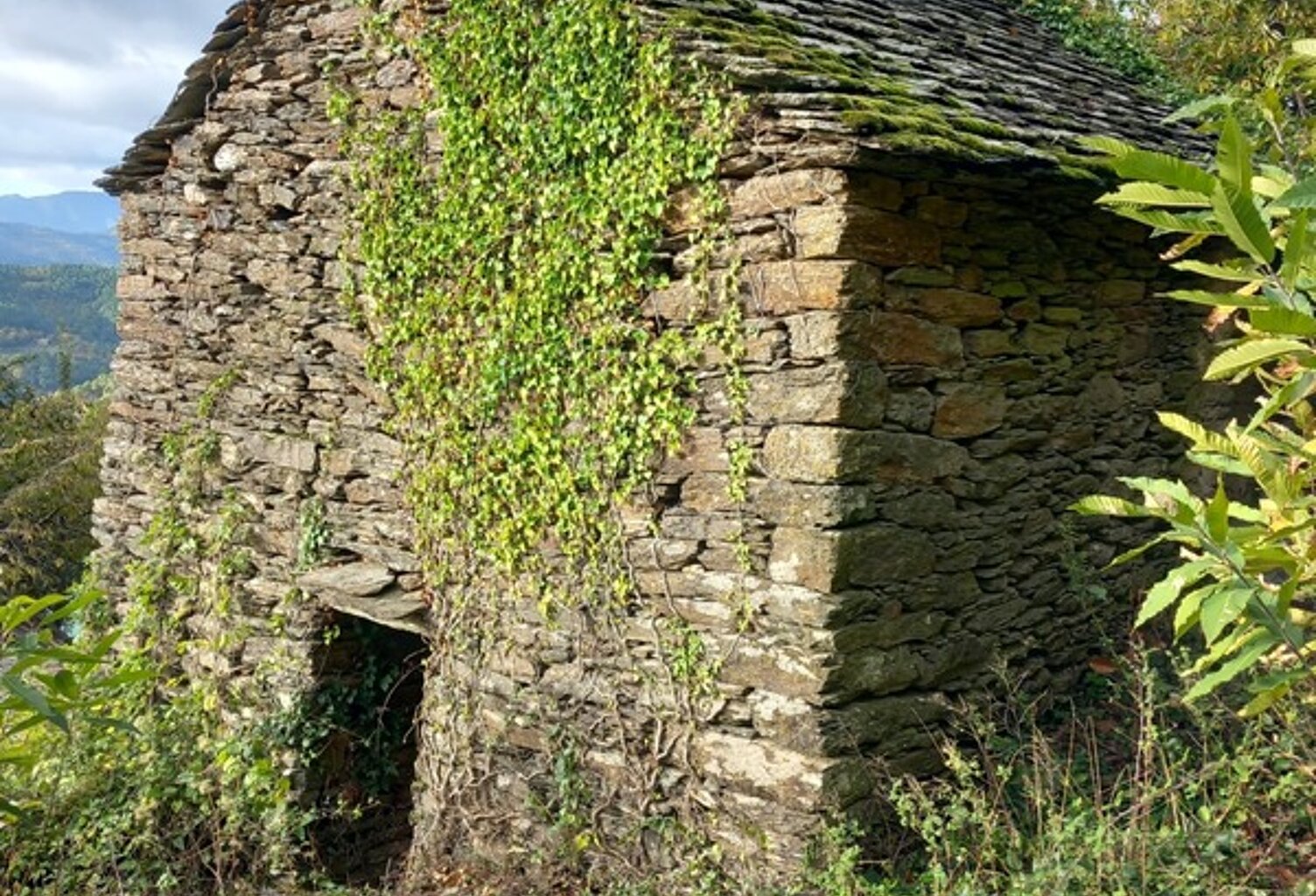 Terrain à vendre avec ruine  SAINT ETIENNE VALLEE FRANCAISE (48) — photo 1