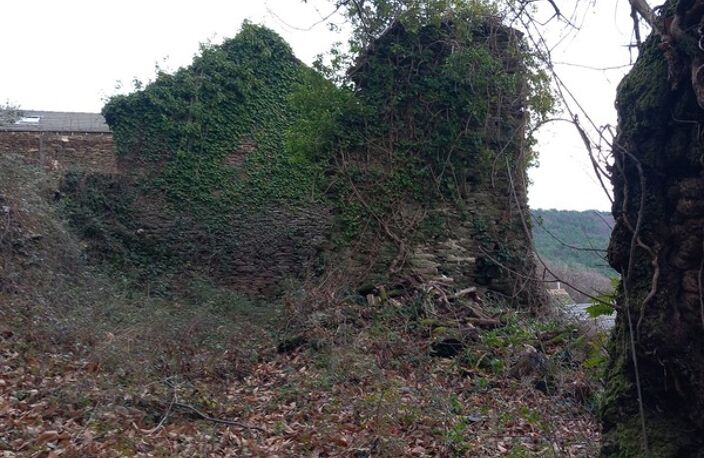 Terrain à vendre avec ruine  SAINT ETIENNE VALLEE FRANCAISE (48) — photo 2