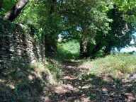Terrain à vendre avec ruine  SAINT ETIENNE VALLEE FRANCAISE (48) — photo 3