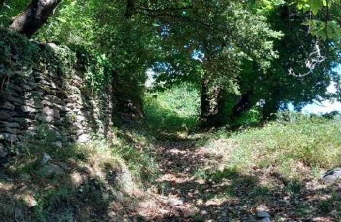 Terrain à vendre avec ruine  SAINT ETIENNE VALLEE FRANCAISE (48) — photo 3