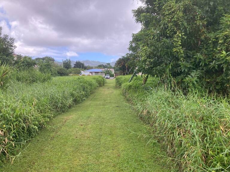 Terrain à vendre  LE LAMENTIN (972) — photo 1
