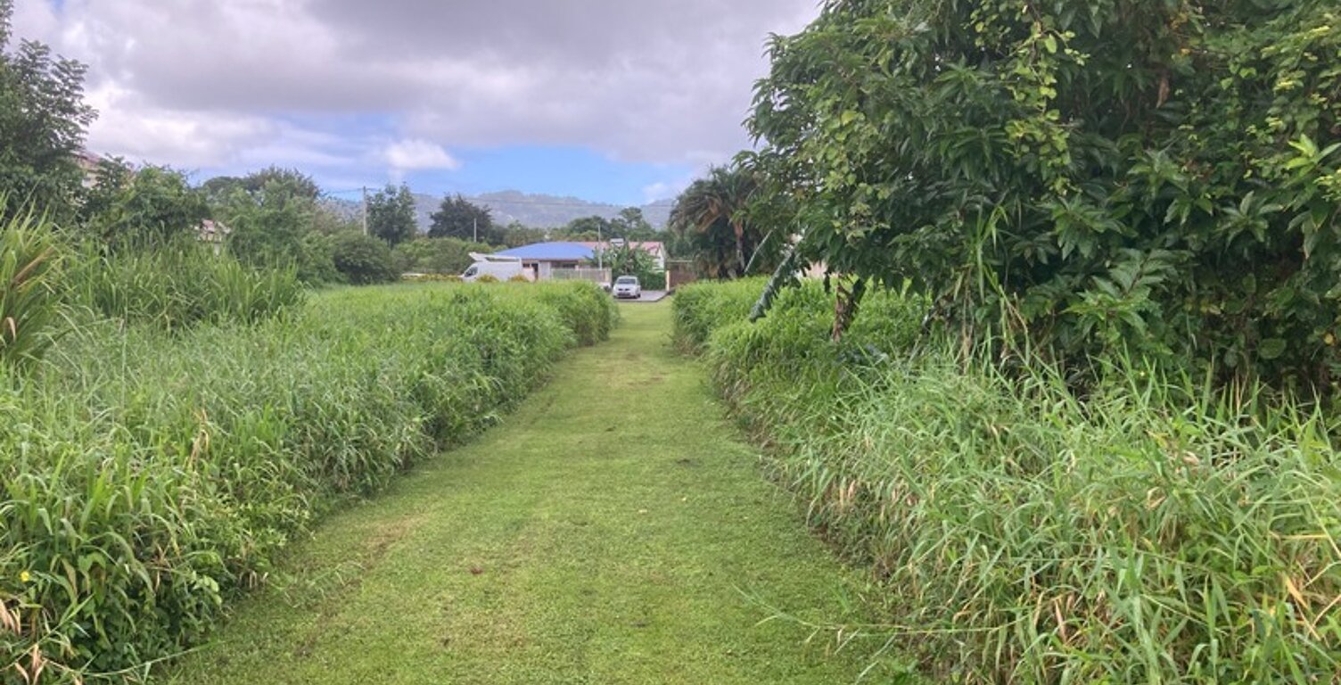 Terrain à vendre  LE LAMENTIN (972) — photo 1