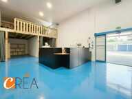 Immobilier Professionnel à louer Ruelisheim — photo 2
