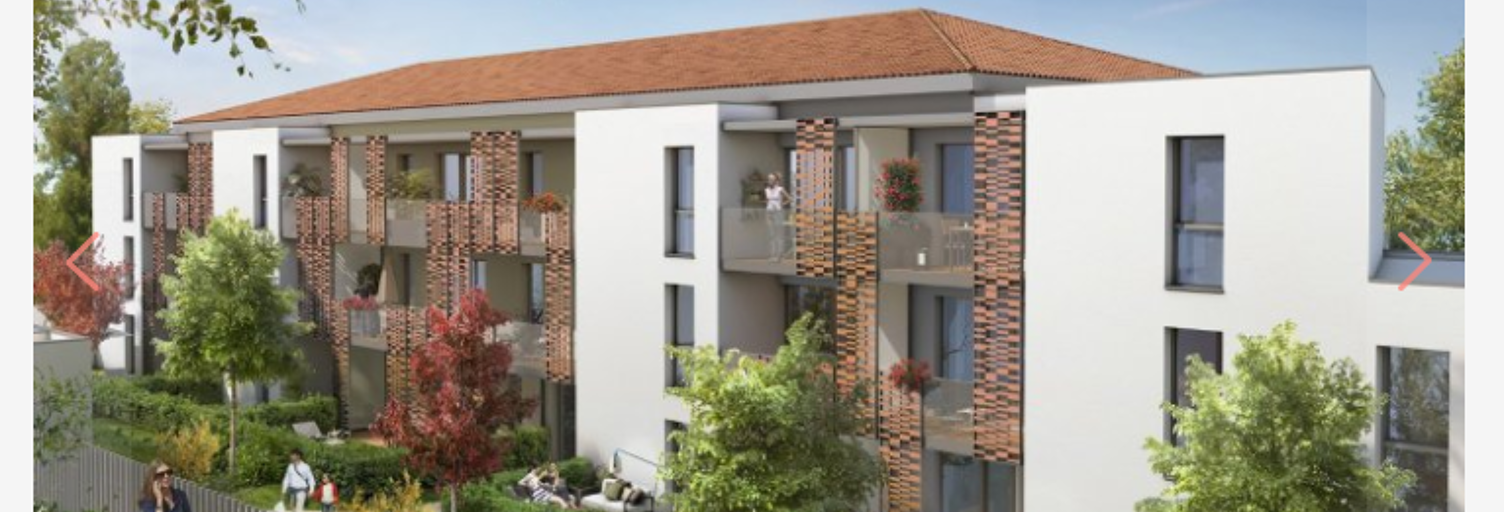 Appartement 2 Pièces 38 m² à louer à Saint-Orens-de-Gameville (31650)