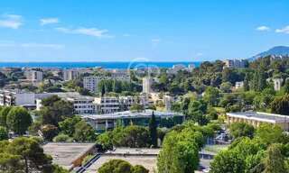 Appartement 4 Pièces 75 m² à vendre à Cannes (06150)