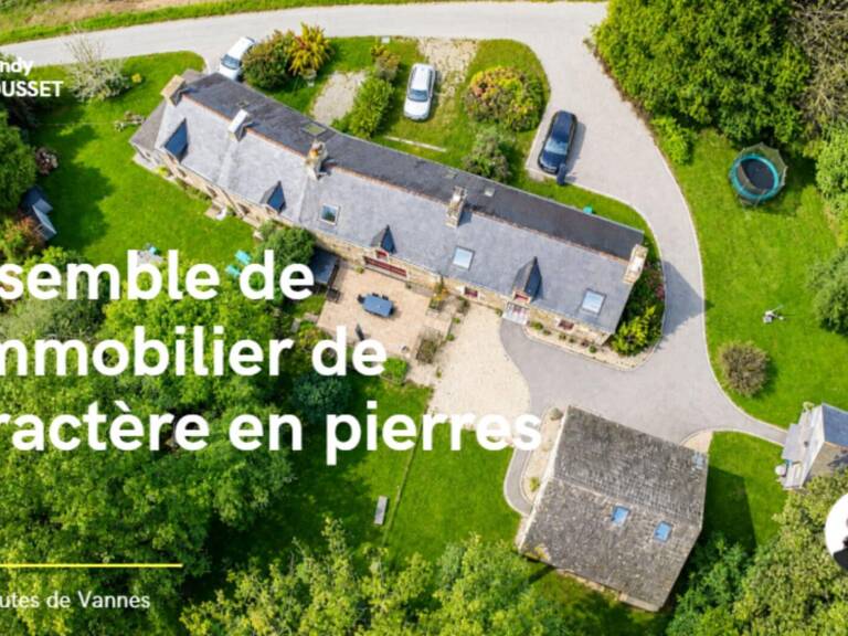 À 20 min de Vannes · Ensemble immobilier de caractère en pierre · Deux longères · 3 dépendances · 4 cabanes dans les arbres — photo 1