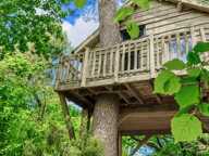 À 20 min de Vannes · Ensemble immobilier de caractère en pierre · Deux longères · 3 dépendances · 4 cabanes dans les arbres — photo 3