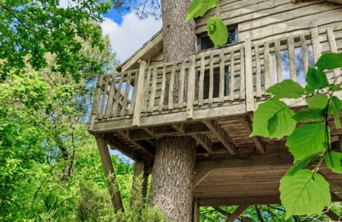 20 min de Vannes · Deux longères · 3 dépendances · 4 cabanes dans les arbres — photo 2