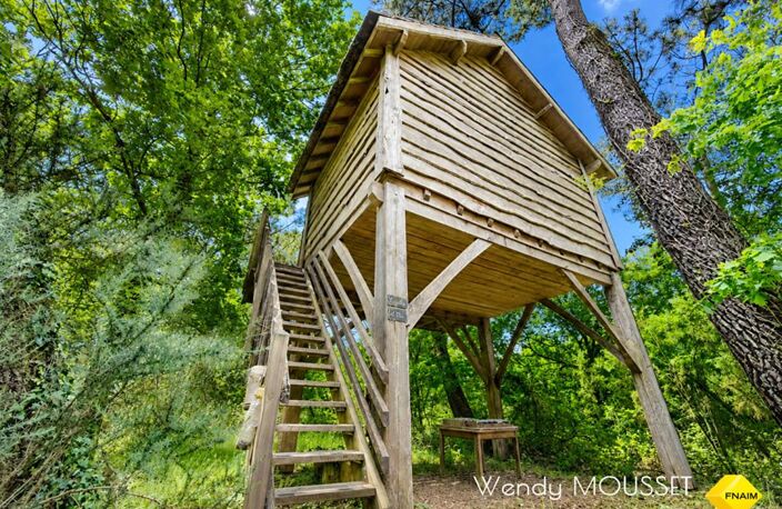 20 min de Vannes · Deux longères · 3 dépendances · 4 cabanes dans les arbres — photo 4