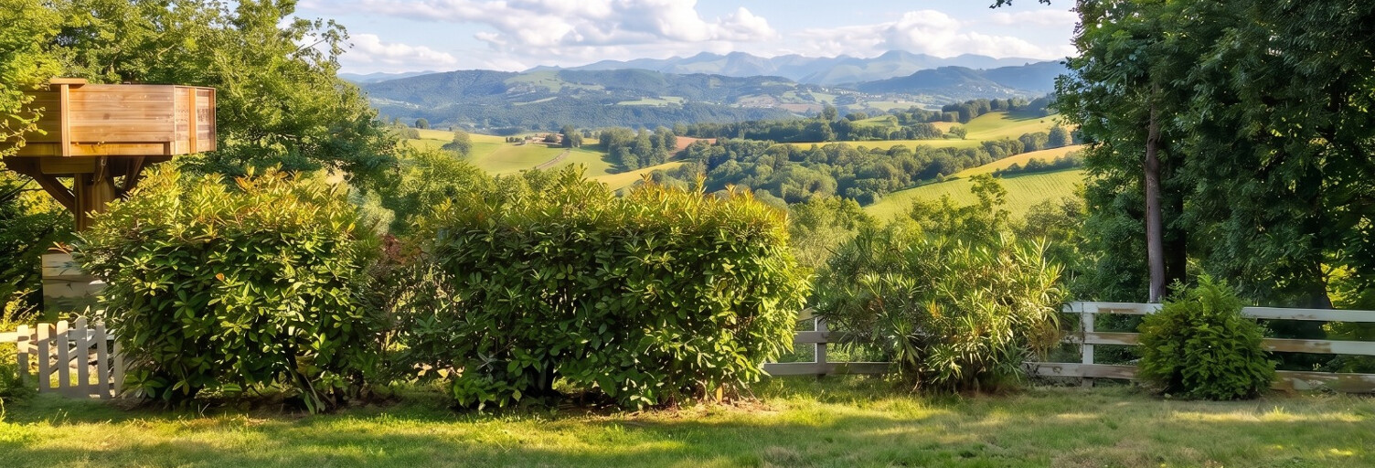 Maison 6 Pièces 219 m² à vendre à Saint-Palais (64120)