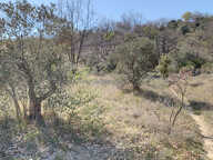 À vendre   Terrain à bâtir à Malijai — photo 2