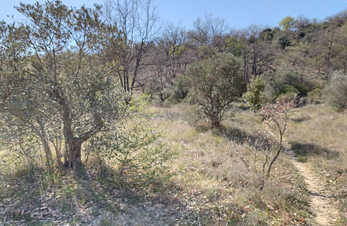 À vendre   Terrain à bâtir à Malijai — photo 2