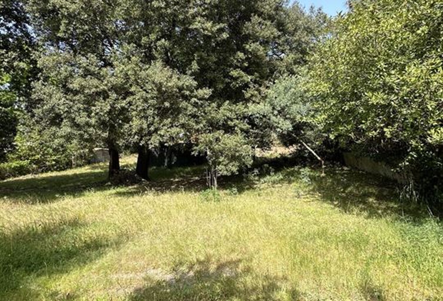 Terrain - 950m ² — photo 1
