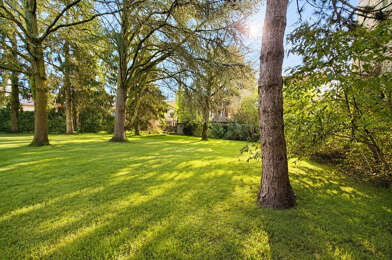 Terrain  730000 €