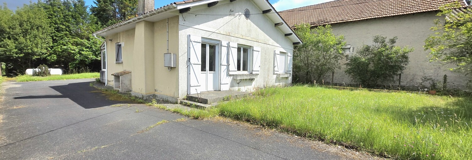 Photo N° 2