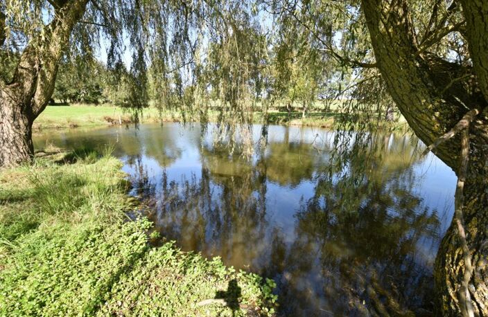 TERRAIN DE LOISIR AVEC ÉTANG SUR 2 ha — photo 2