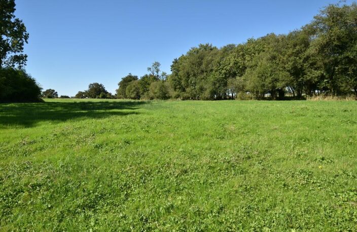 TERRAIN DE LOISIR AVEC ÉTANG SUR 2 ha — photo 5