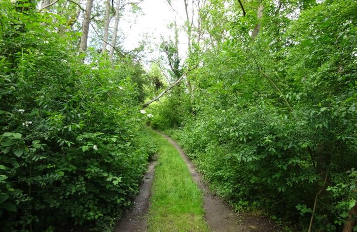 Terrain à vendre de 344,00 m² NARGIS (45) — photo 2