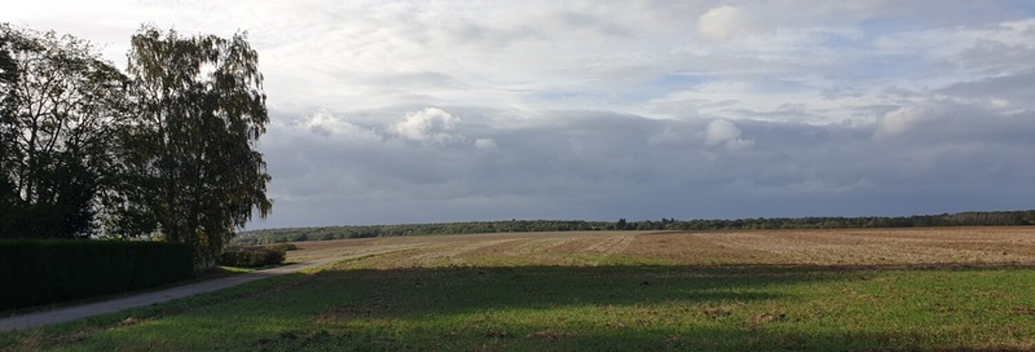 Terrain  1171 m² à vendre à Vernou-la-Celle-sur-Seine (77670)