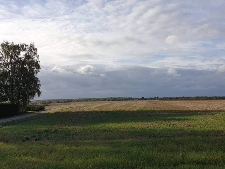 Vernou La Celle 77670 près de Morêt et Avon-Fontainebleau Terrain à vendre — photo 1