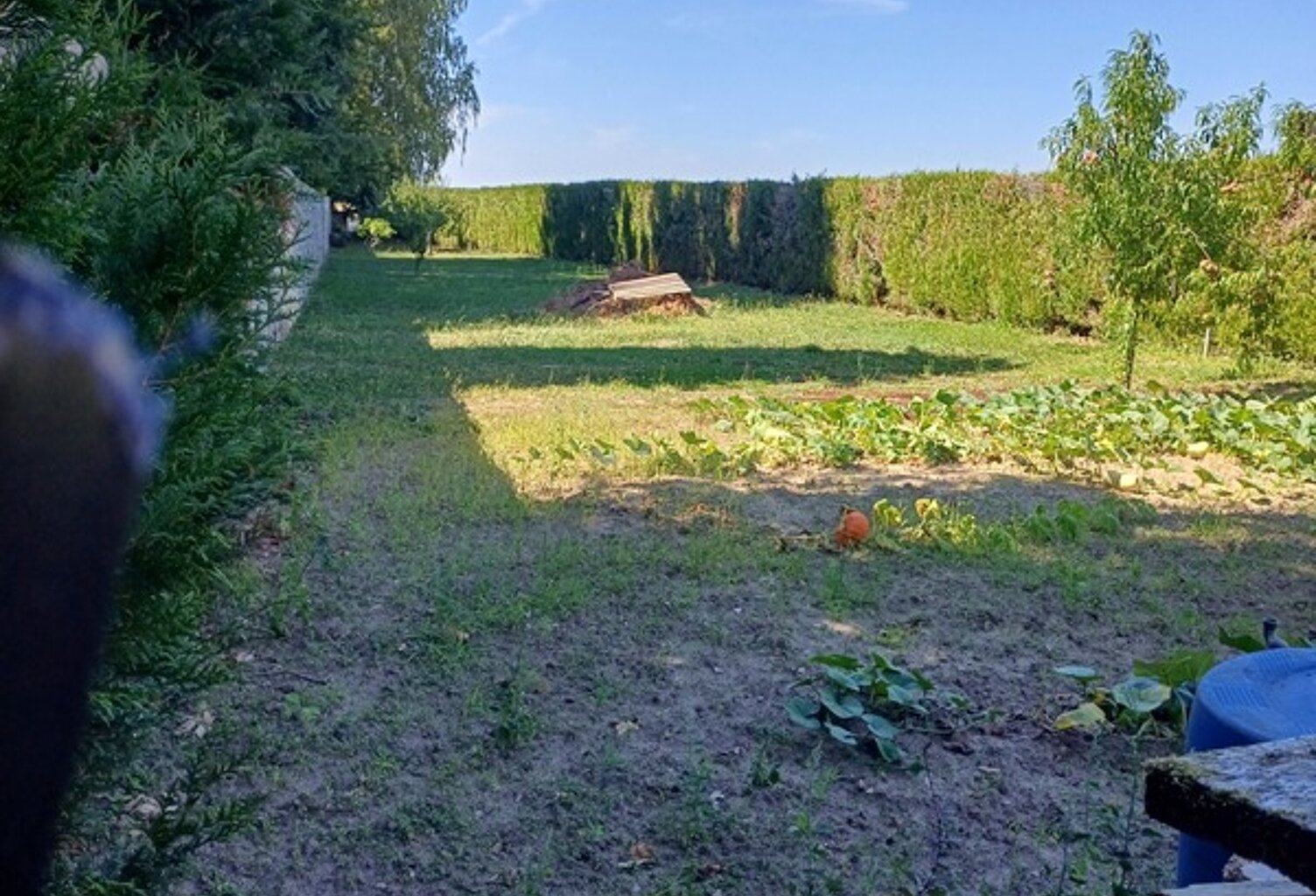 Vernou La Celle 77670 près de Morêt et Avon-Fontainebleau Terrain à vendre — photo 1