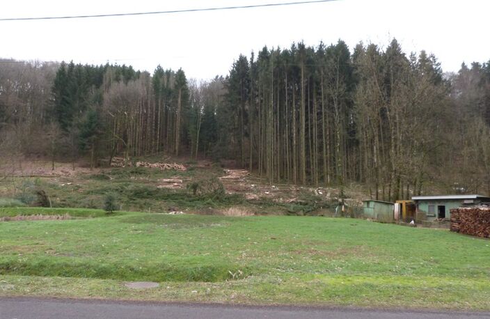 Dpt Moselle (57), à vendre HOTTVILLER terrain - Terrain de 803,00 m² — photo 3