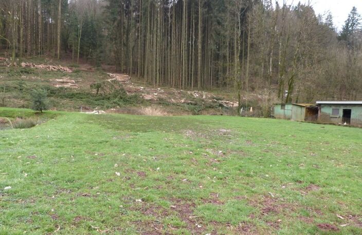 Dpt Moselle (57), à vendre HOTTVILLER terrain - Terrain de 803,00 m² — photo 5