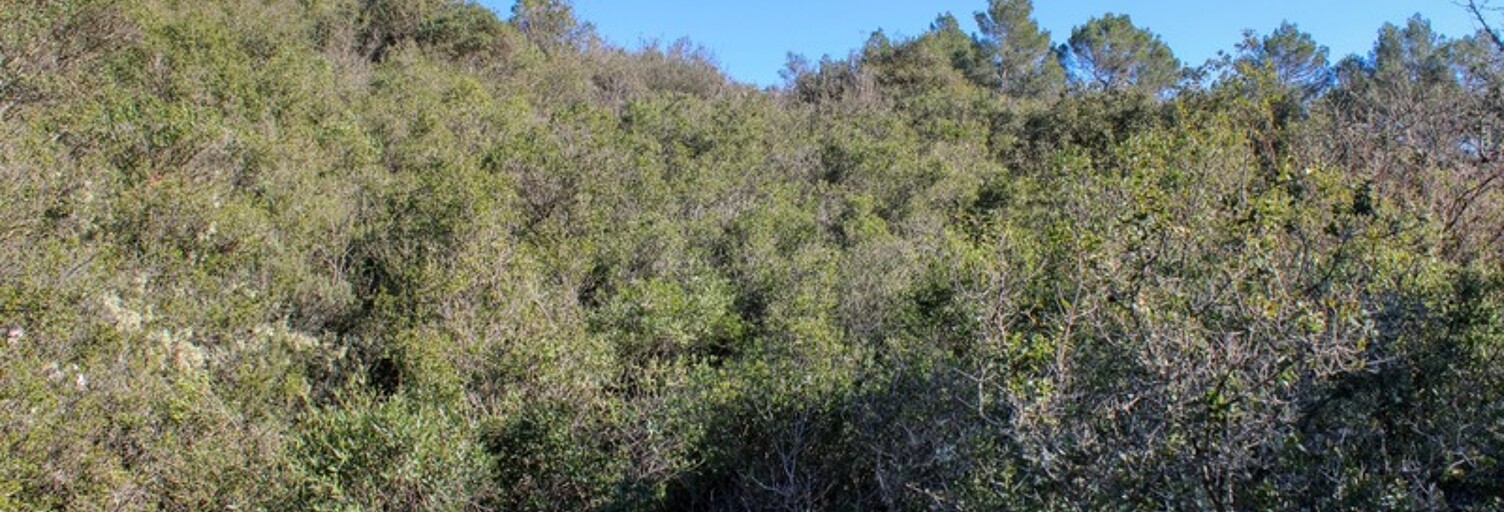 Terrain  27600 m² à vendre à Tourves (83170)