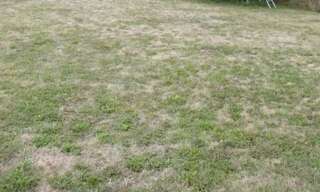 Terrain  828 m² à vendre à Legé (44650)