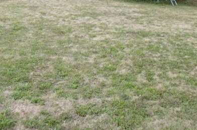 Terrain  77000 €