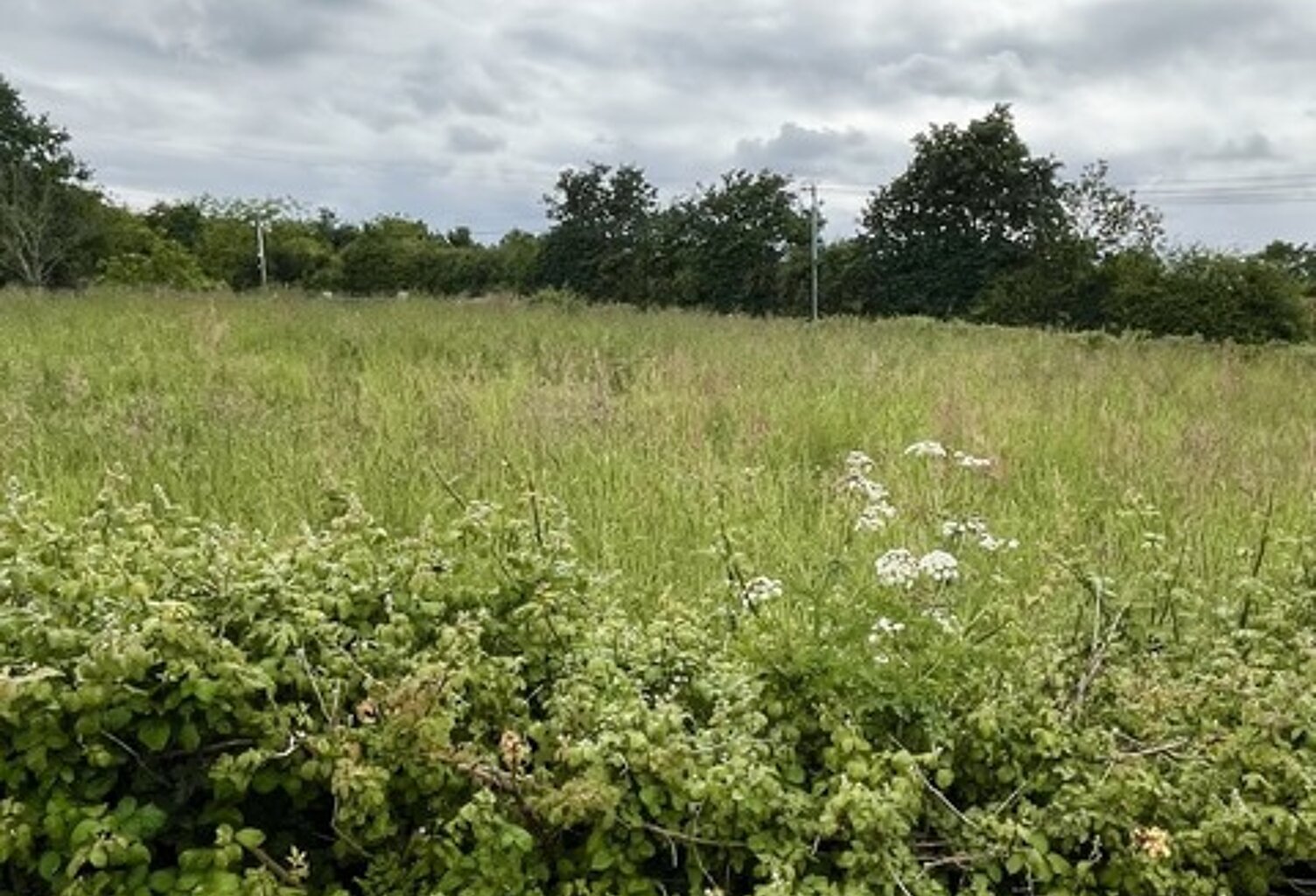 Terrain 828 m²  LEGE (44) — photo 1