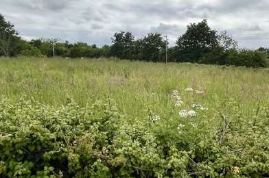 Terrain  77000 €