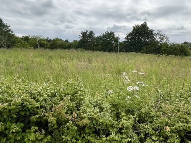Terrain 828 m²  LEGE (44) — photo 1