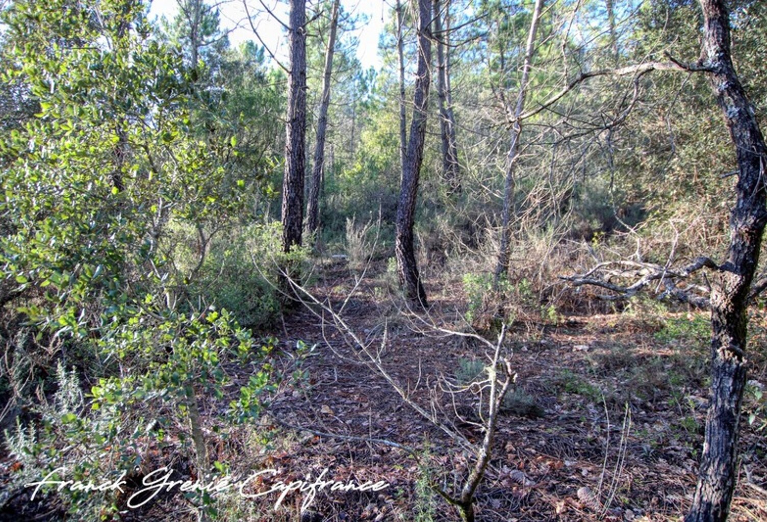 Terrain naturel 55050m²  TOURVES (83) — photo 1