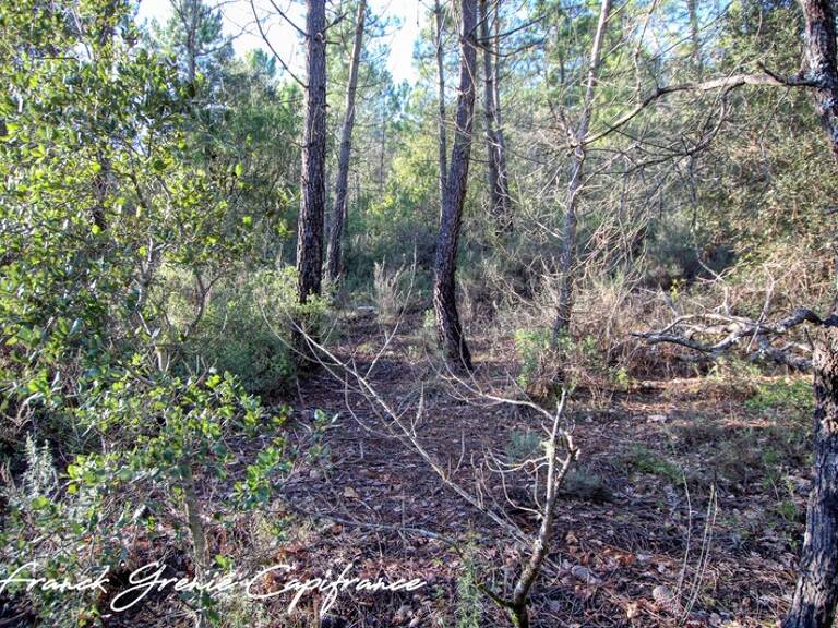 Terrain naturel 55050m²  TOURVES (83) — photo 1