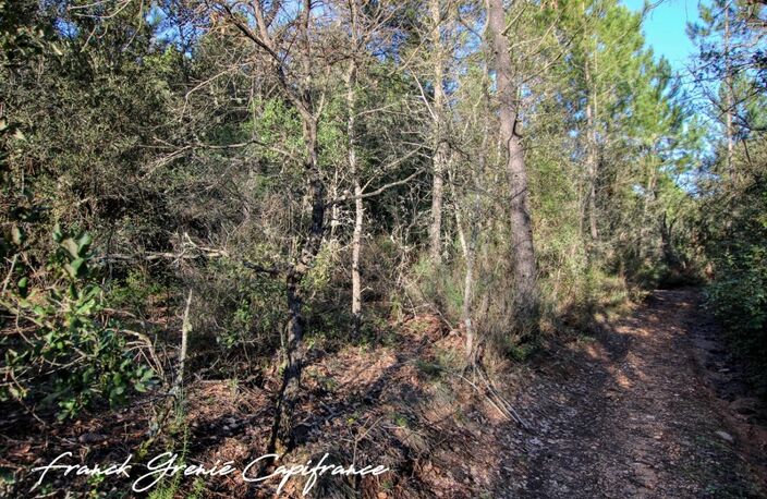Terrain naturel 55050m²  TOURVES (83) — photo 2