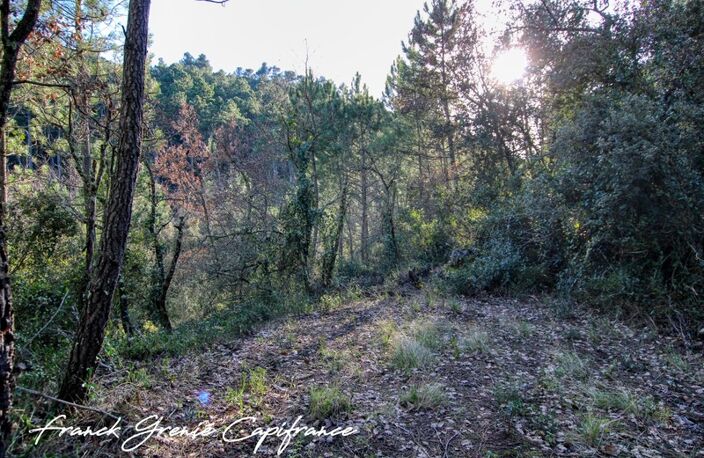Terrain naturel 55050m²  TOURVES (83) — photo 3