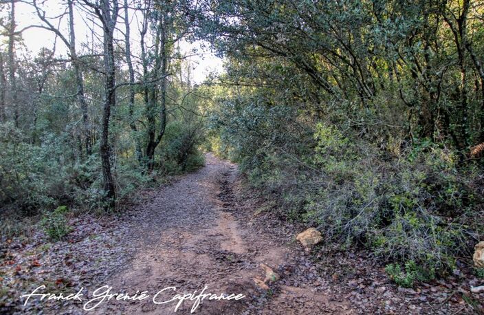 Terrain naturel 55050m²  TOURVES (83) — photo 4