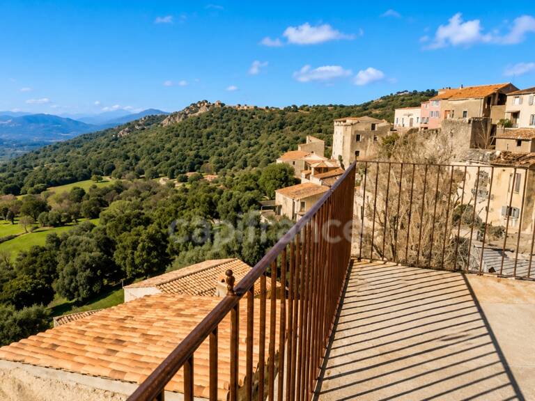 Demeure de caractère au cœur de la Balagne – Vue panoramique, terrasses et fort potentiel — photo 1