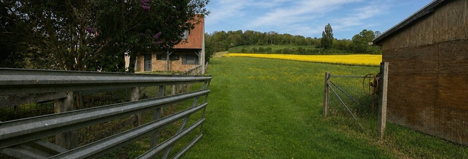 Photo N° 2