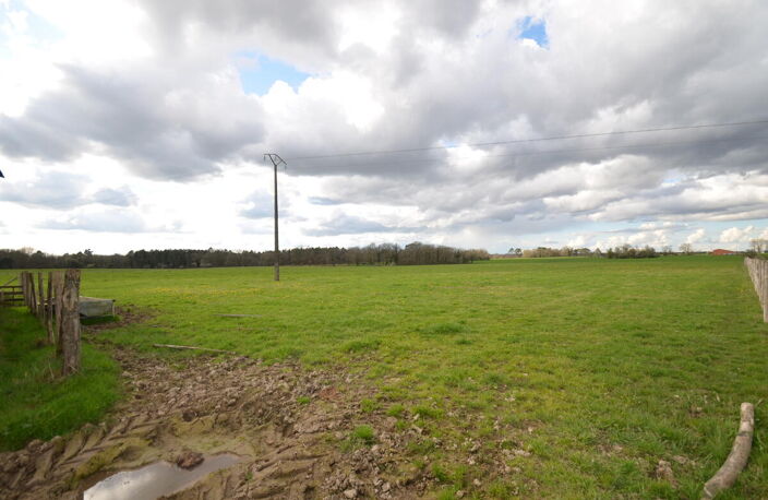 Terrain — photo 3