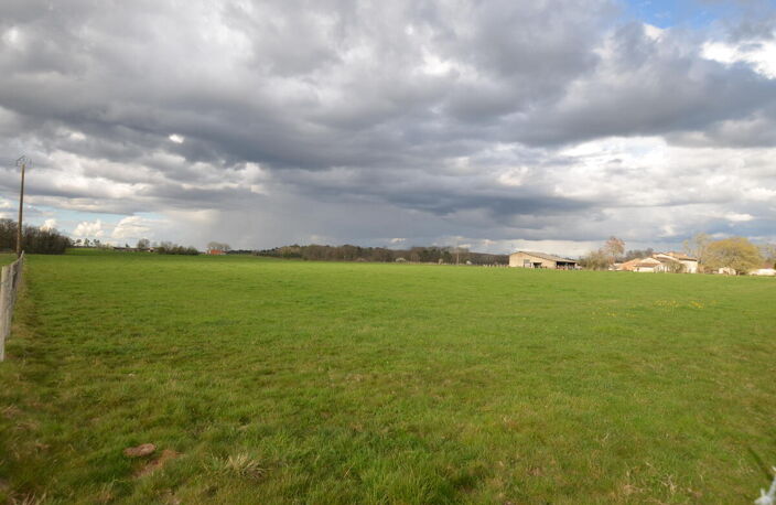 Terrain — photo 4