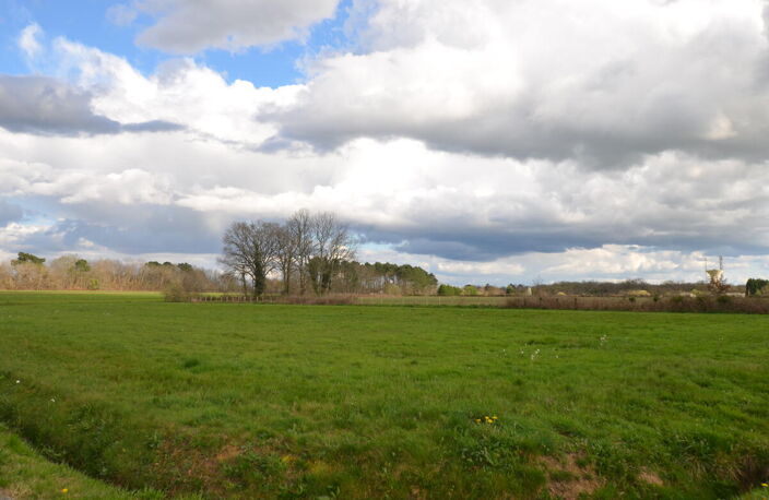 Terrain — photo 5