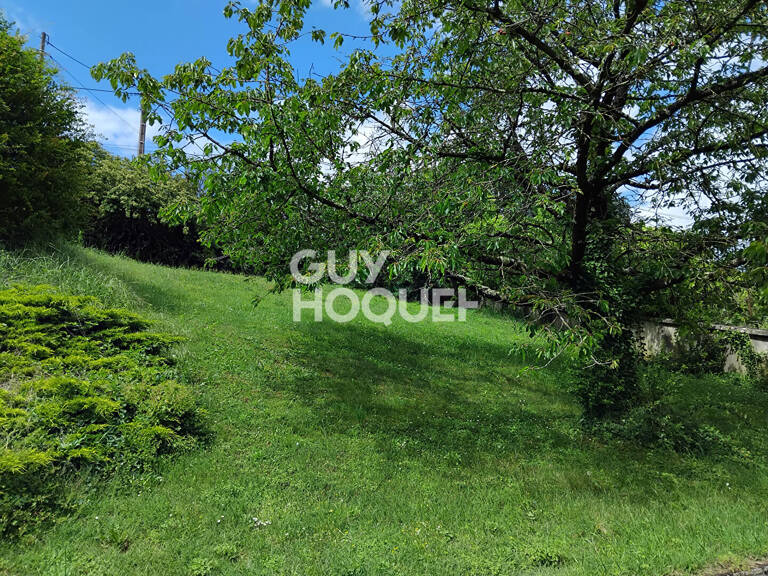 terrain — photo 1