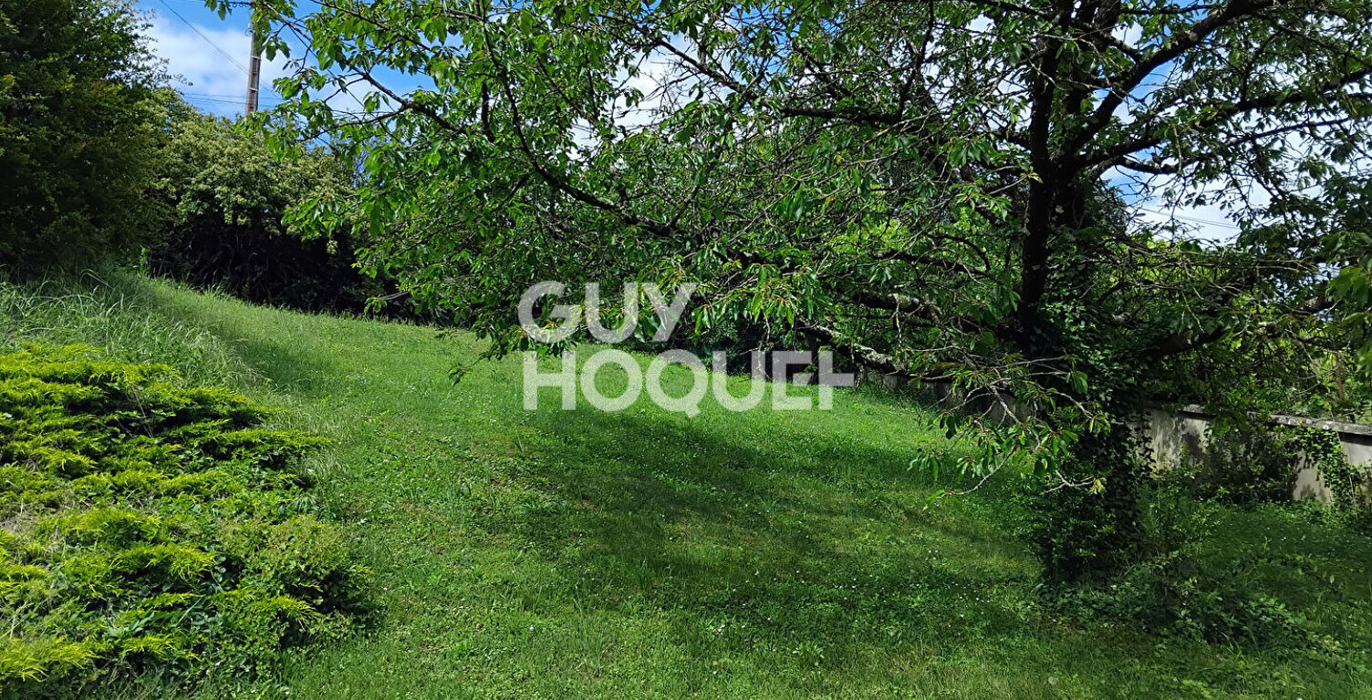 terrain — photo 1